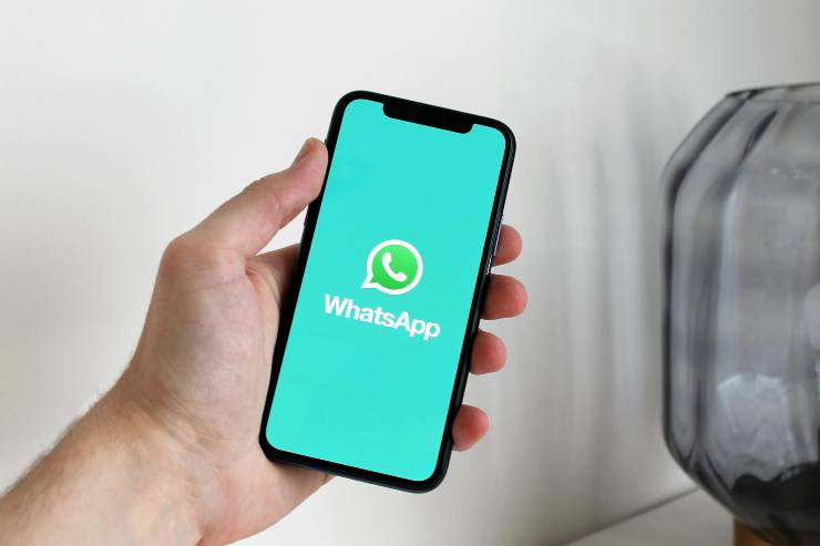 WhatsApp silenziato gruppi adesso puoi fare anche questo