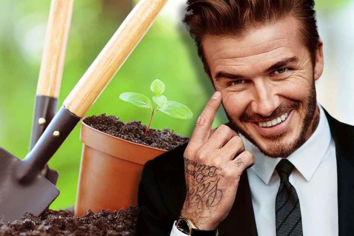 Giardino perfetto di David Beckham