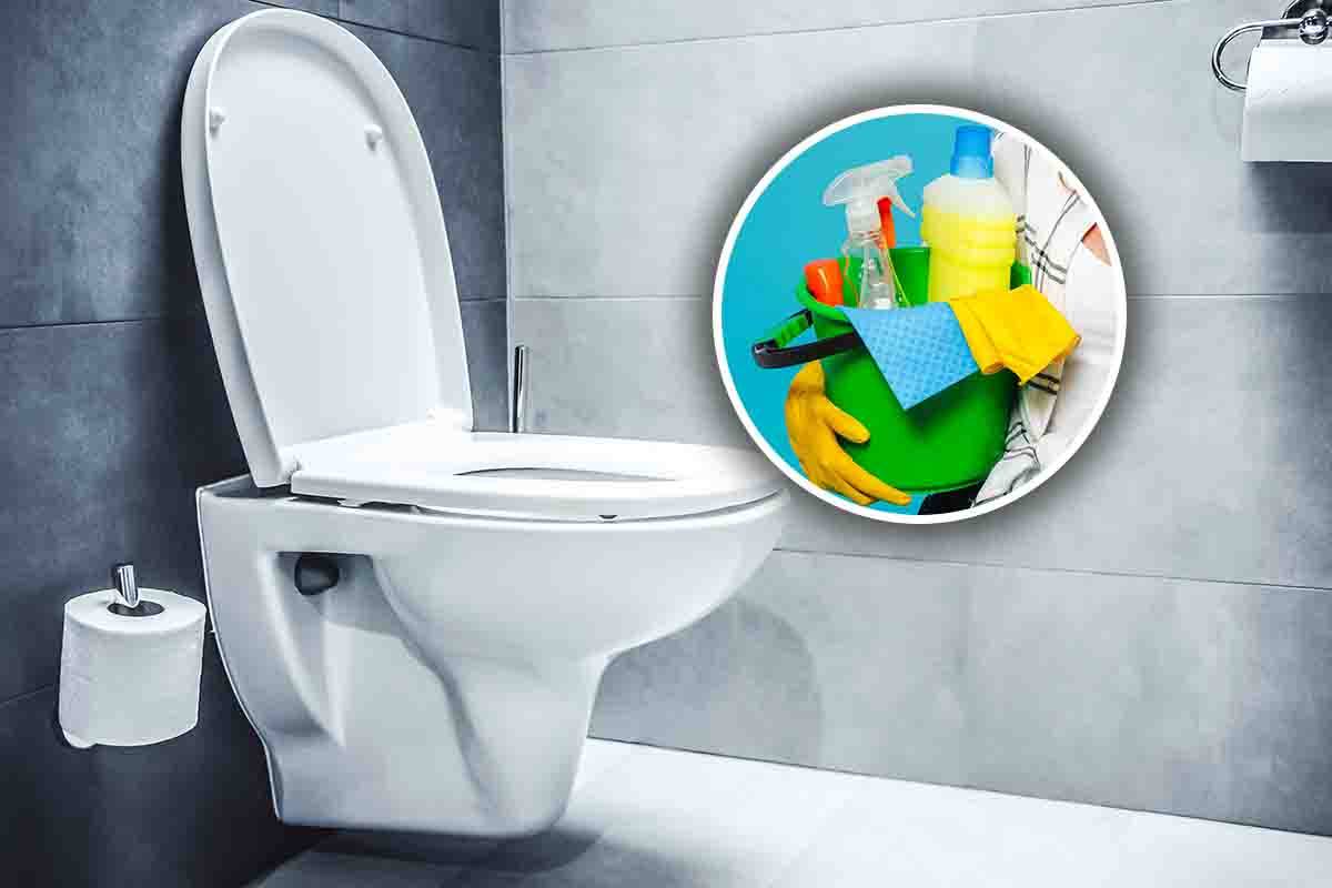 Pulizia wc, l'unico metodo naturale per disinfettarlo