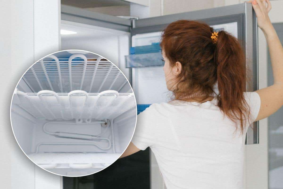 Eliminare cattivi odori freezer